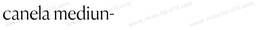 canela mediun字体转换